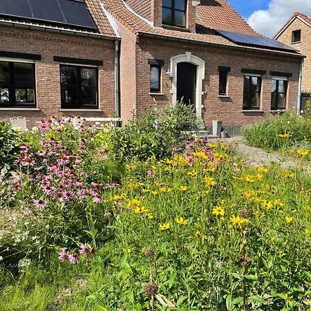 B&B Den Biesthoek Grimbergen Kültér fotó