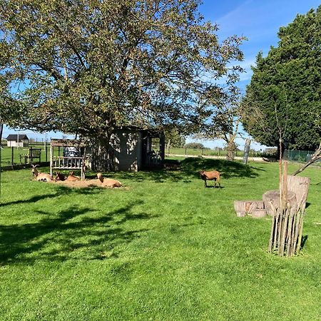 B&B Den Biesthoek Grimbergen Kültér fotó