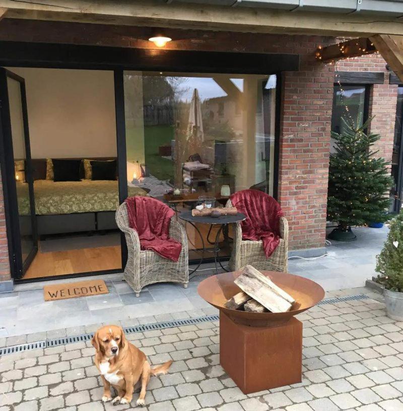 B&B Den Biesthoek Grimbergen Kültér fotó