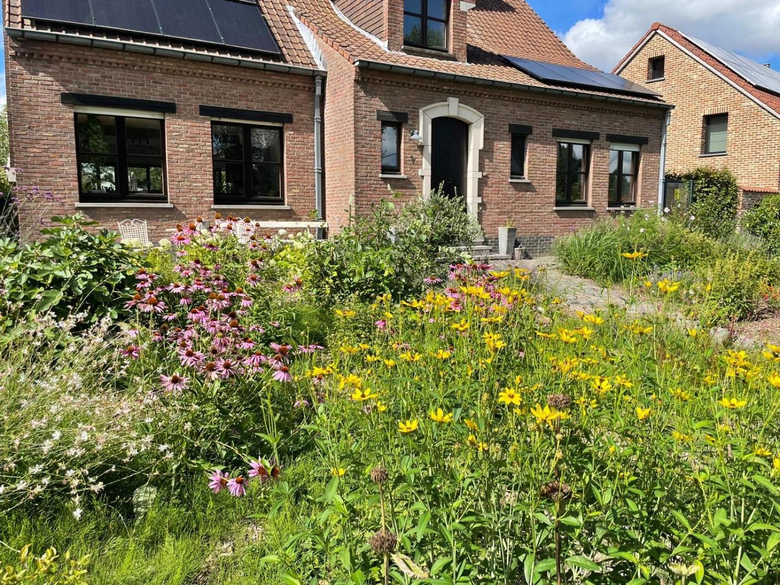 B&B Den Biesthoek Grimbergen Kültér fotó
