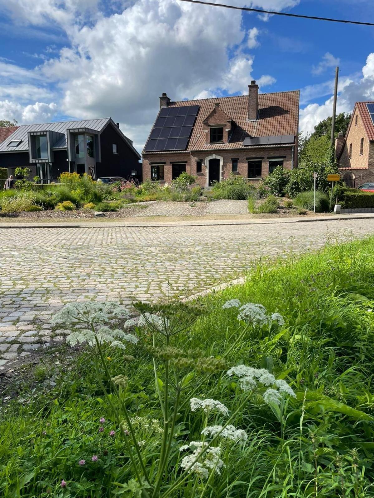 B&B Den Biesthoek Grimbergen Kültér fotó
